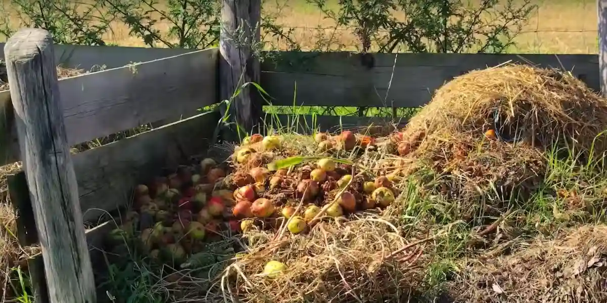 Compostable fácil