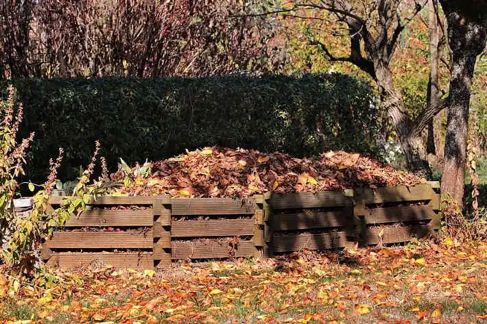 Creación de compost