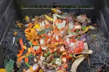 Compost en el jardín trasero